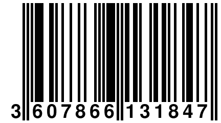 3 607866 131847