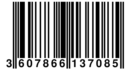 3 607866 137085