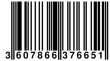 3 607866 376651