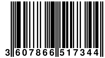 3 607866 517344