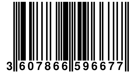 3 607866 596677