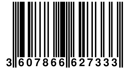 3 607866 627333