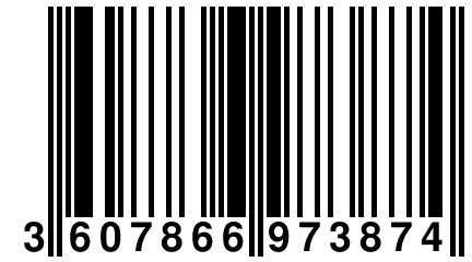 3 607866 973874