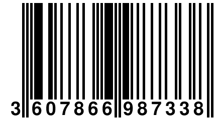 3 607866 987338