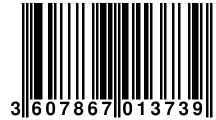 3 607867 013739