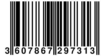 3 607867 297313