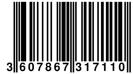 3 607867 317110