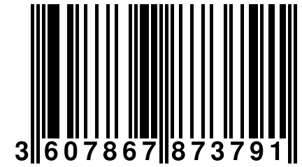 3 607867 873791