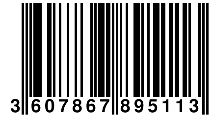 3 607867 895113