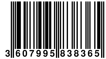 3 607995 838365