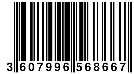 3 607996 568667