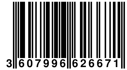 3 607996 626671