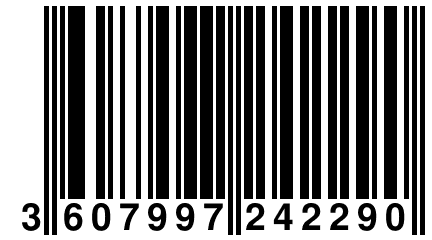 3 607997 242290