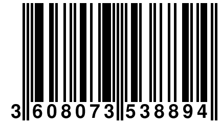 3 608073 538894