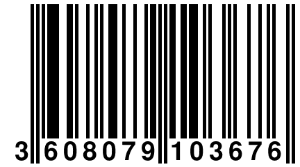 3 608079 103676