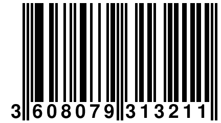 3 608079 313211