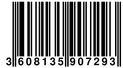 3 608135 907293