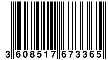 3 608517 673365