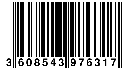 3 608543 976317