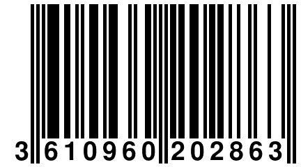 3 610960 202863