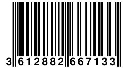 3 612882 667133