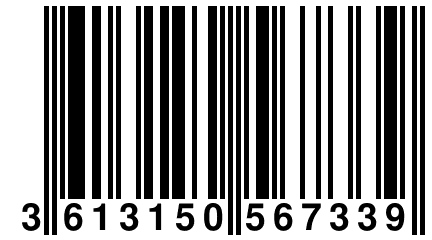 3 613150 567339