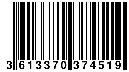 3 613370 374519