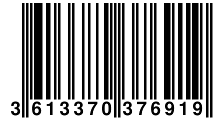 3 613370 376919