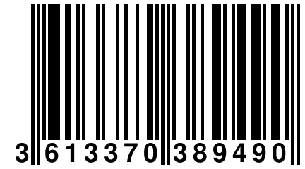 3 613370 389490