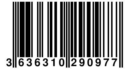 3 636310 290977