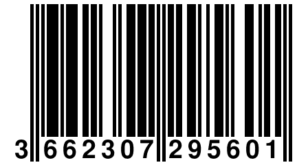 3 662307 295601