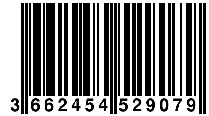 3 662454 529079