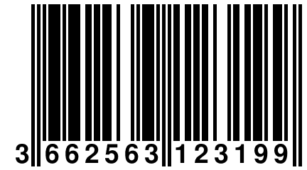 3 662563 123199