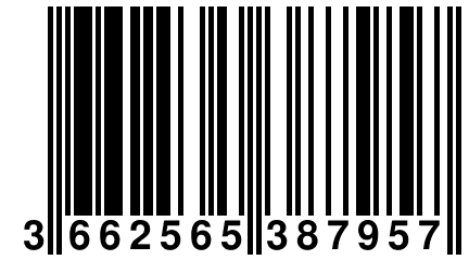 3 662565 387957