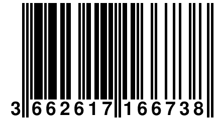 3 662617 166738