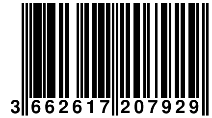 3 662617 207929