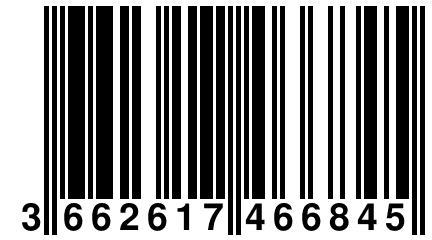 3 662617 466845