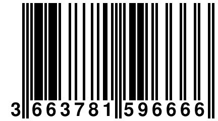 3 663781 596666