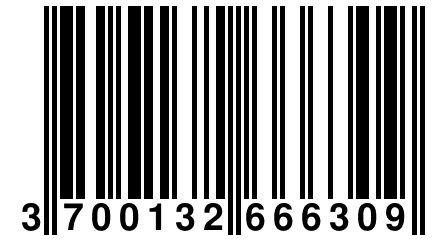 3 700132 666309