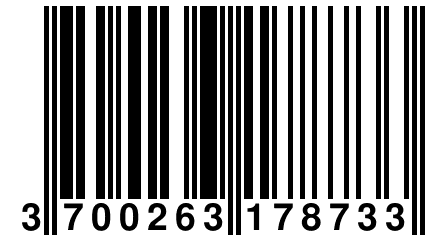 3 700263 178733