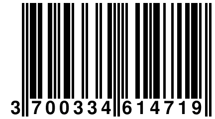 3 700334 614719