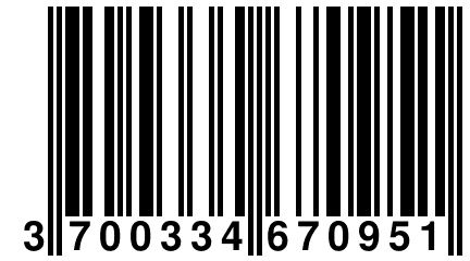 3 700334 670951