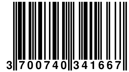 3 700740 341667