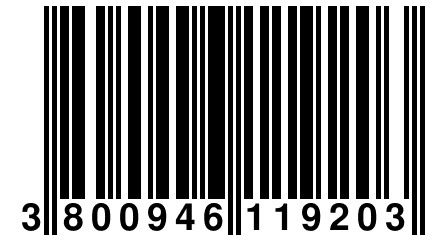 3 800946 119203