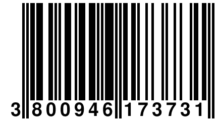 3 800946 173731