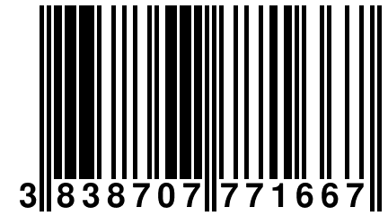 3 838707 771667