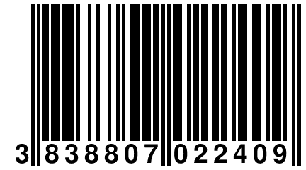 3 838807 022409