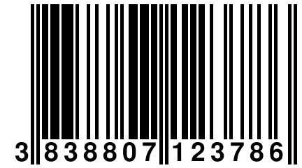 3 838807 123786