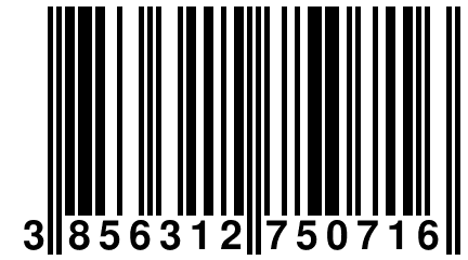 3 856312 750716