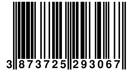 3 873725 293067